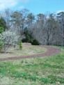 Arboretum Path